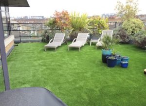 gambar desain teras rumah minimalis type 36 rumput hijau